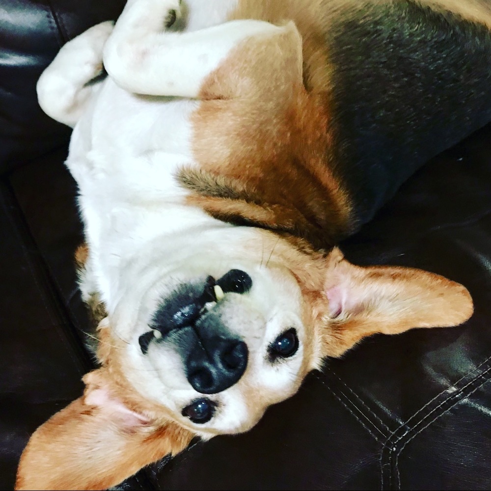 Meet your Posher, Erika